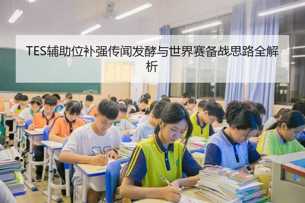 TES辅助位补强传闻发酵与世界赛备战思路全解析